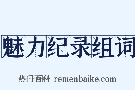 魅力纪录组词是什么意思的图片